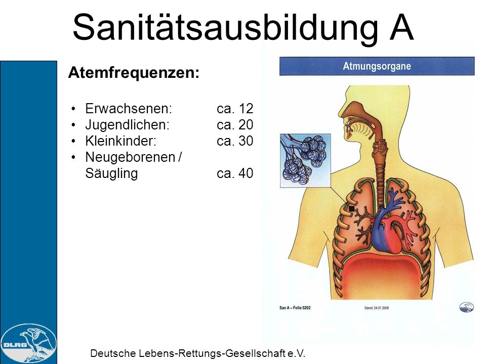 Sanitätsausbildung A Atemfrequenzen: Erwachsenen: ca. 12