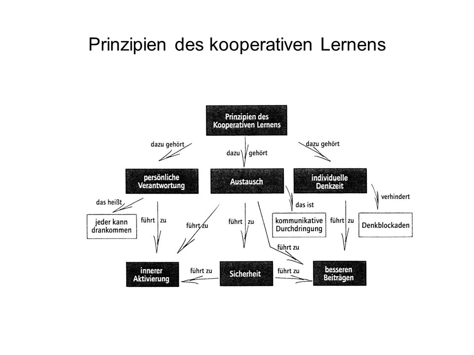 Prinzipien des kooperativen Lernens