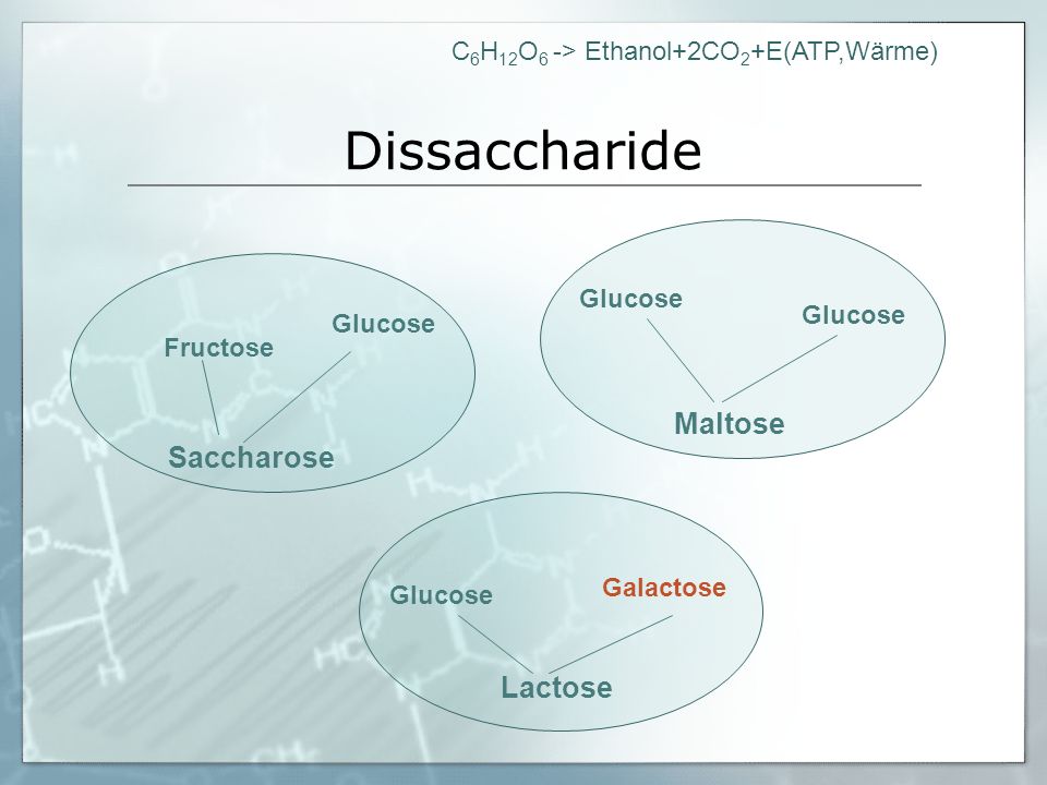 Dissaccharide Maltose Saccharose Lactose Glucose Glucose Glucose