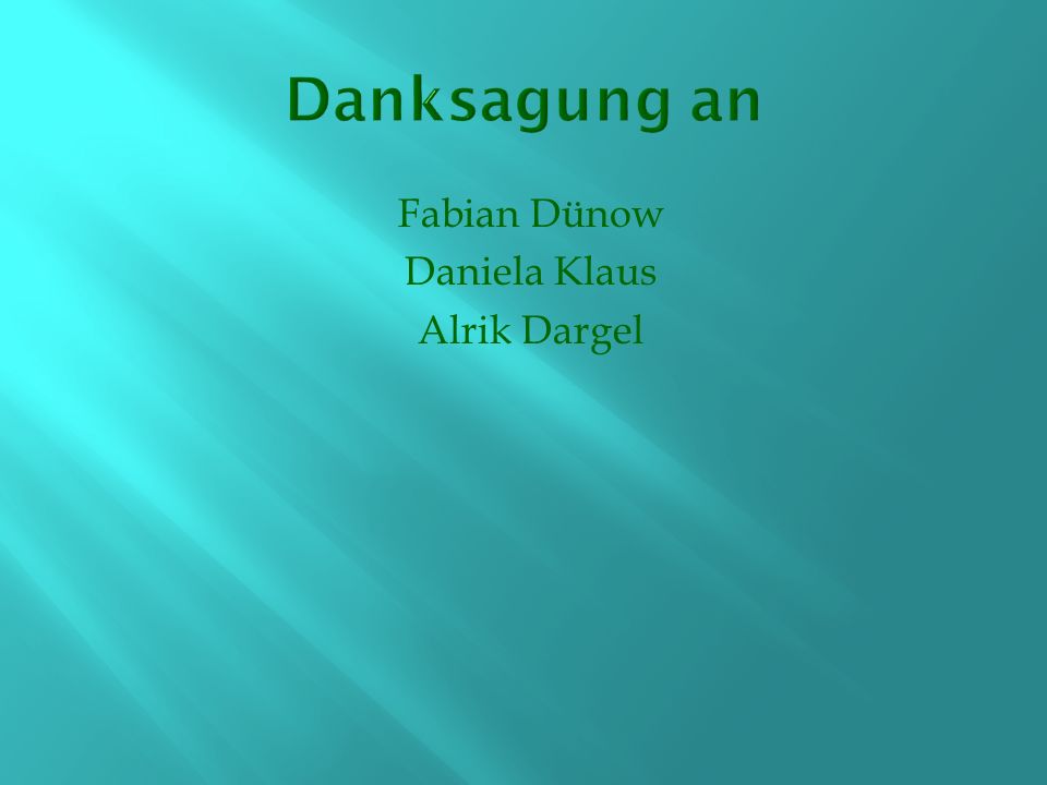 Danksagung an Fabian Dünow Daniela Klaus Alrik Dargel