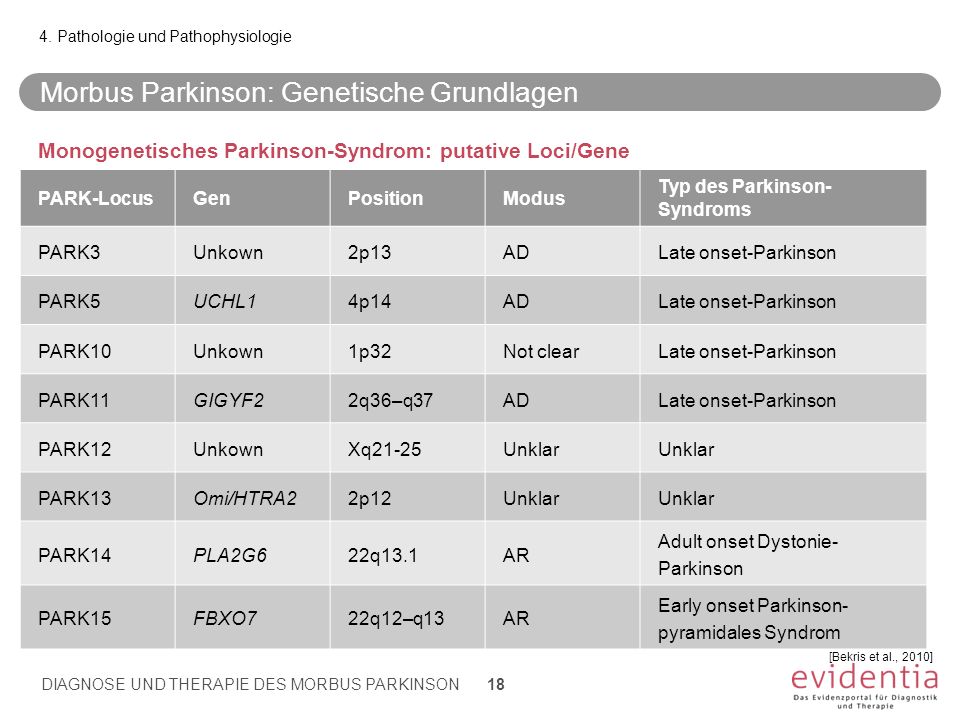 Morbus Parkinson: Genetische Grundlagen