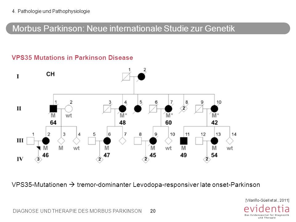 Morbus Parkinson: Neue internationale Studie zur Genetik