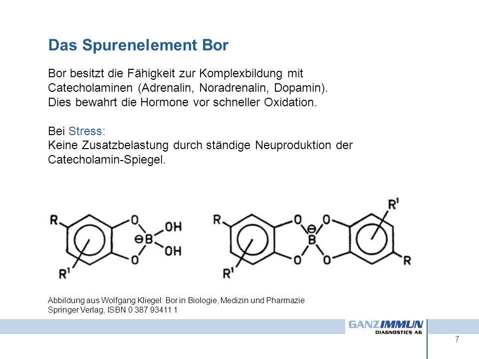 Das Spurenelement Bor Bor besitzt die Fähigkeit zur Komplexbildung mit Catecholaminen (Adrenalin, Noradrenalin, Dopamin).