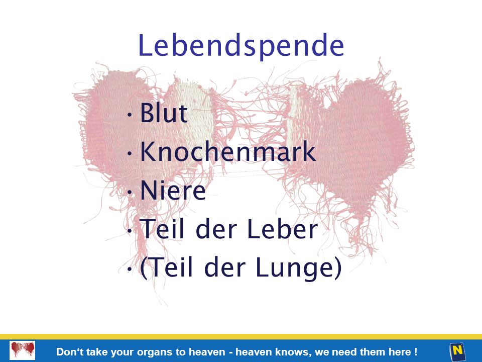 Lebendspende Blut Knochenmark Niere Teil der Leber (Teil der Lunge)