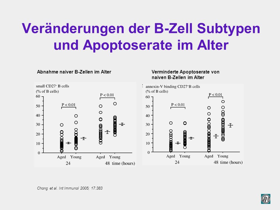 Veränderungen der B-Zell Subtypen und Apoptoserate im Alter