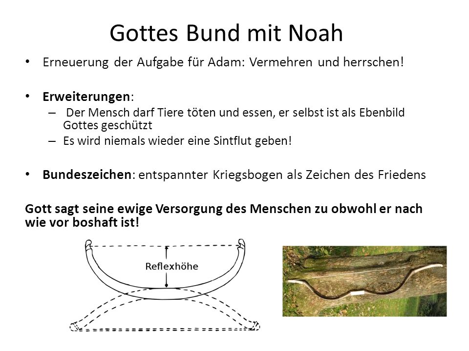 Gottes Bund mit Noah Erneuerung der Aufgabe für Adam: Vermehren und herrschen! Erweiterungen: