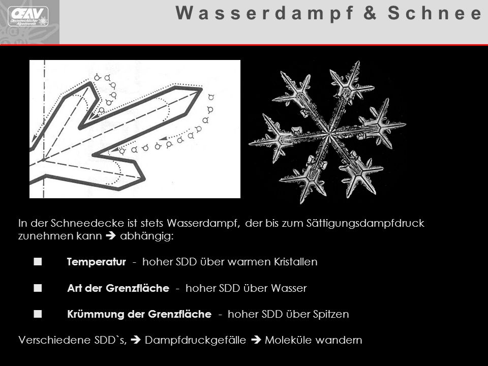 W a s s e r d a m p f & S c h n e e In der Schneedecke ist stets Wasserdampf, der bis zum Sättigungsdampfdruck zunehmen kann  abhängig: