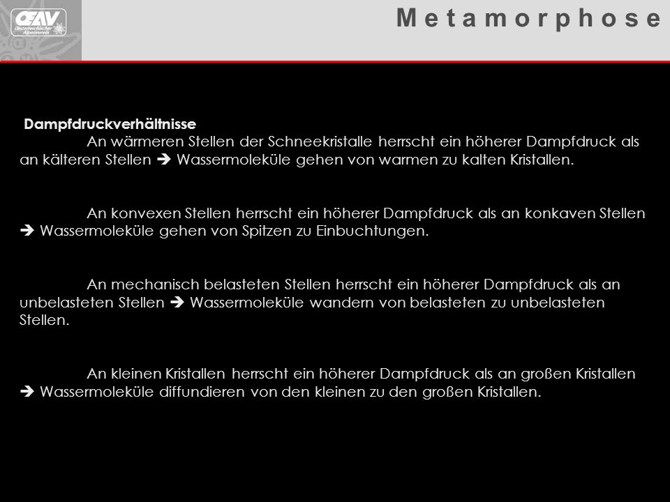 M e t a m o r p h o s e Dampfdruckverhältnisse