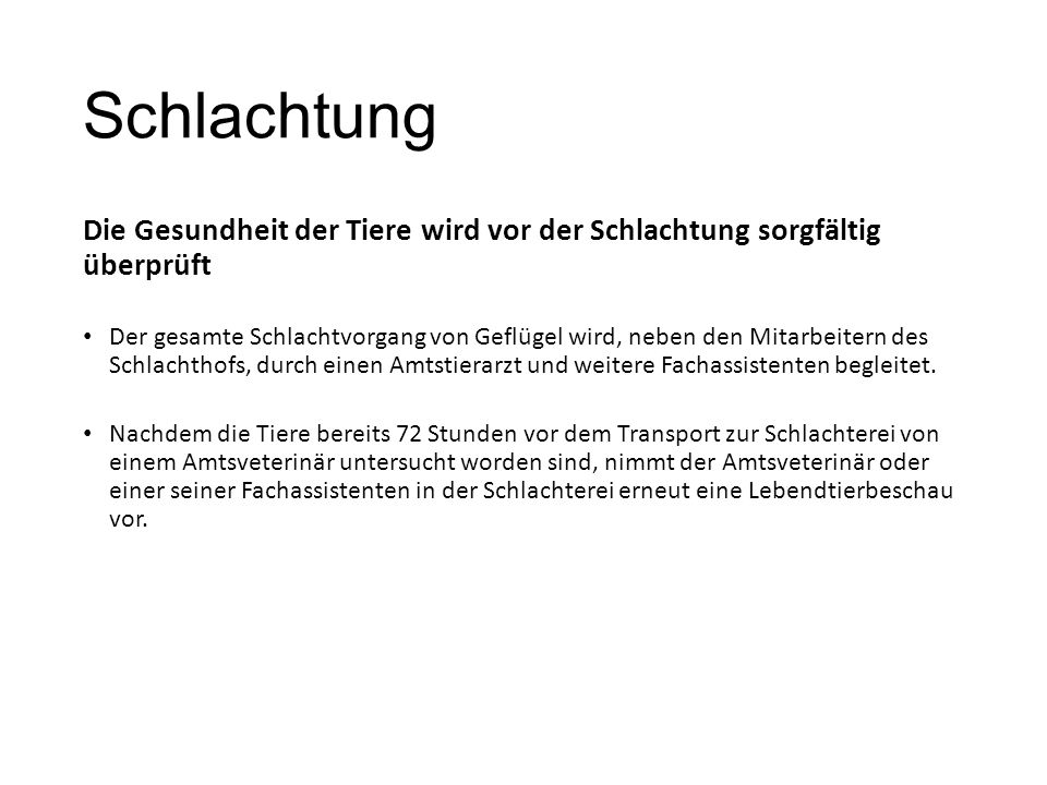 Schlachtung Die Gesundheit der Tiere wird vor der Schlachtung sorgfältig überprüft.