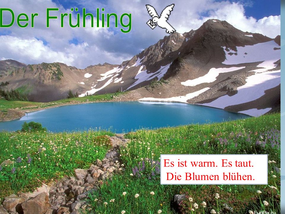 Der Frühling Es ist warm. Es taut. Die Blumen blühen.