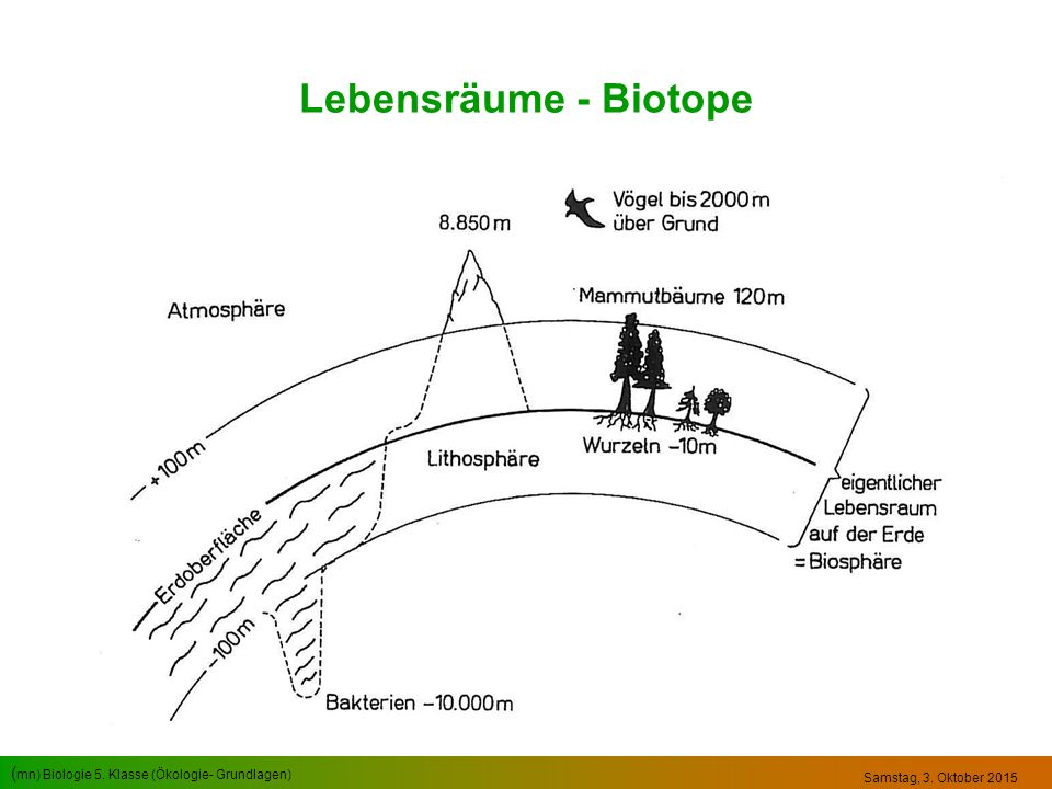 Lebensräume - Biotope Sonntag, 23. April 2017