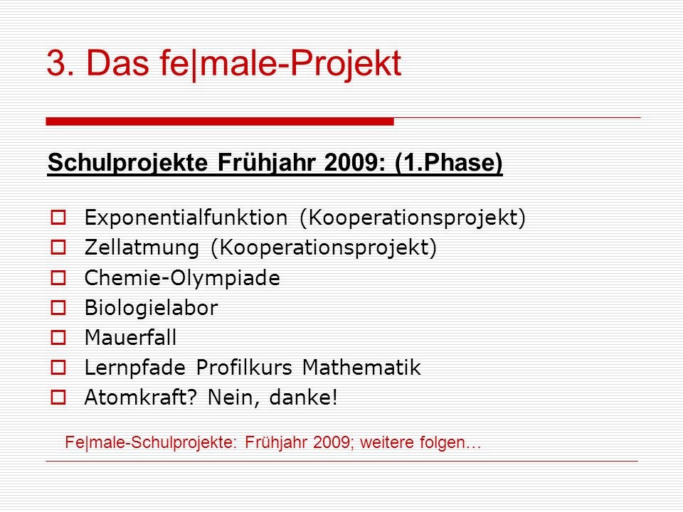 3. Das fe|male-Projekt Schulprojekte Frühjahr 2009: (1.Phase)