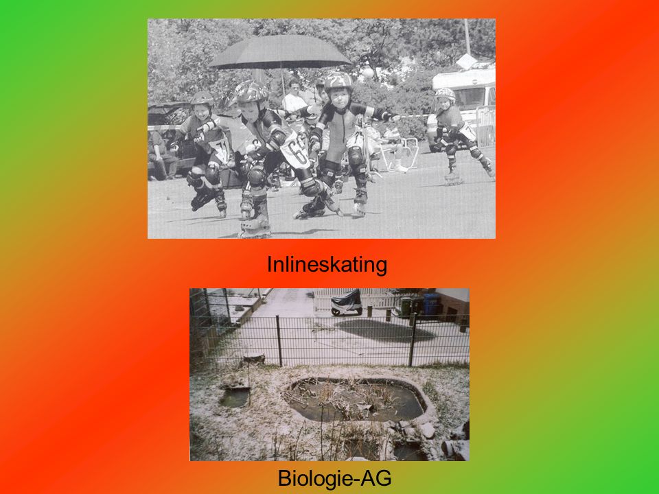 Inlineskating Biologie-AG