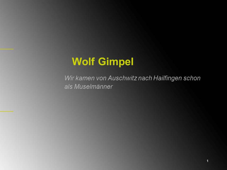 Wolf Gimpel Wir kamen von Auschwitz nach Hailfingen schon als Muselmänner 1