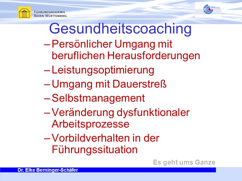 Gesundheitscoaching Persönlicher Umgang mit beruflichen Herausforderungen. Leistungsoptimierung. Umgang mit Dauerstreß.