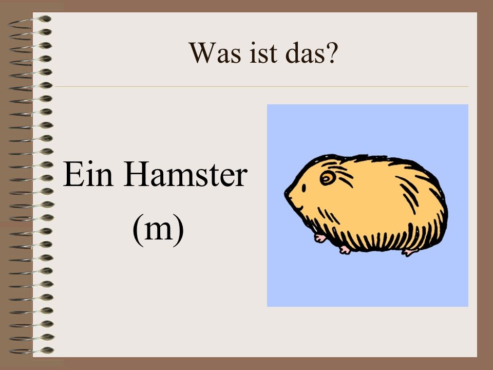 Was ist das Ein Hamster (m)