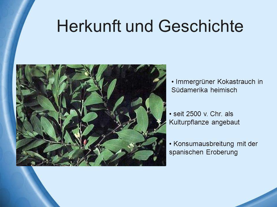 Herkunft und Geschichte