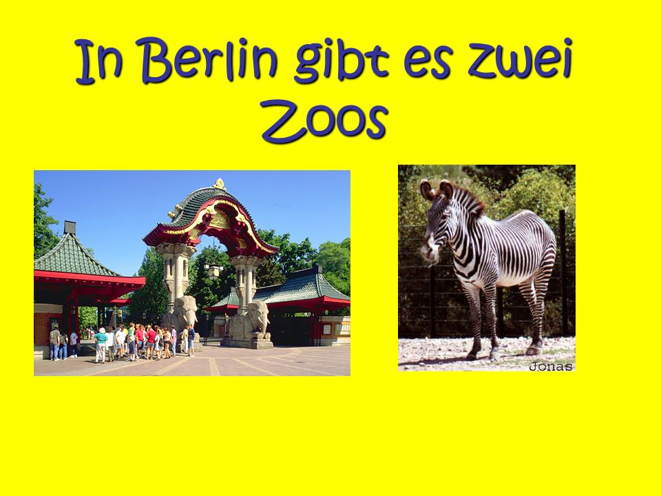 In Berlin gibt es zwei Zoos
