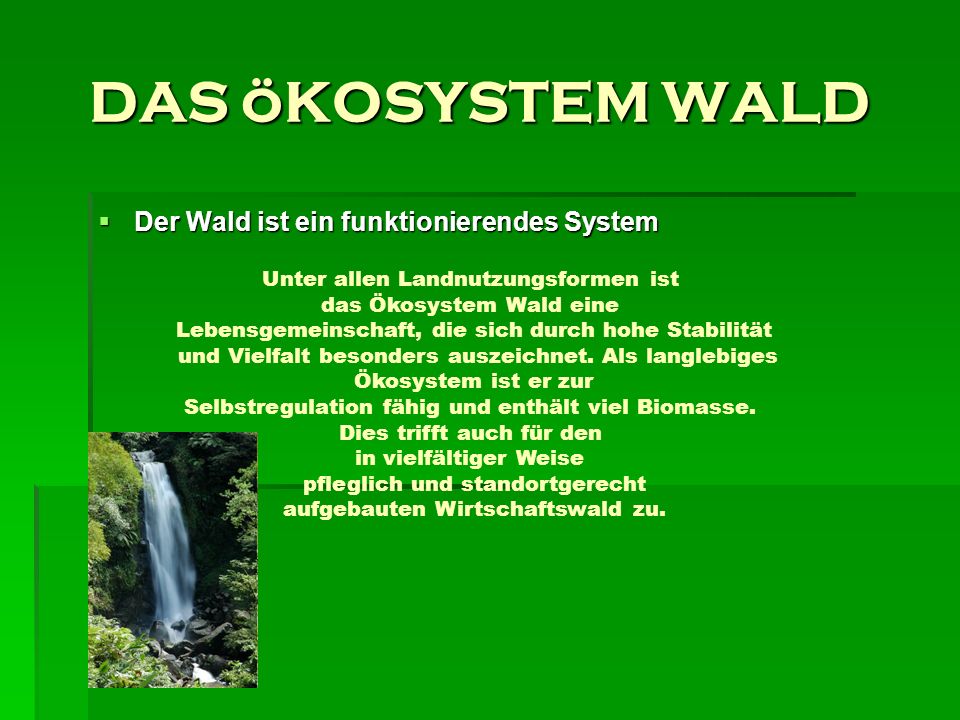 DAS öKOSYSTEM WALD Der Wald ist ein funktionierendes System