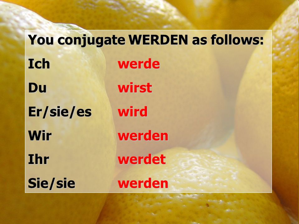 You conjugate WERDEN as follows: