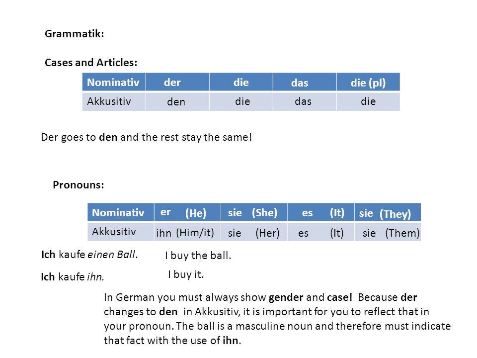 Grammatik: Cases and Articles: Nominativ. Akkusitiv. der. die. das. die (pl) den. die. das.
