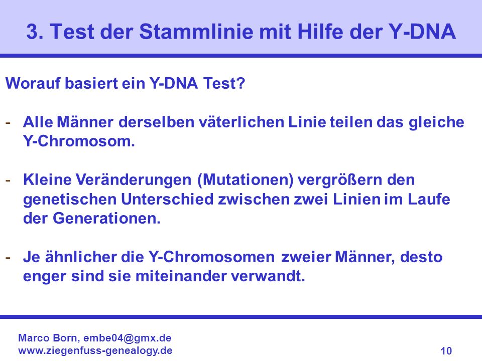 3. Test der Stammlinie mit Hilfe der Y-DNA