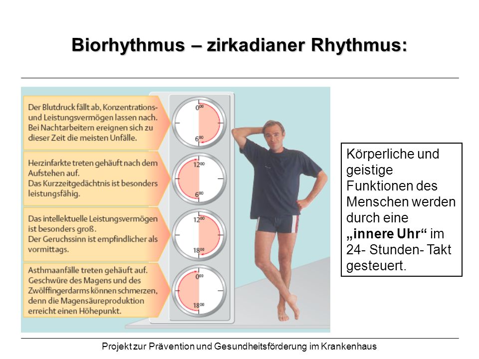 Biorhythmus – zirkadianer Rhythmus: