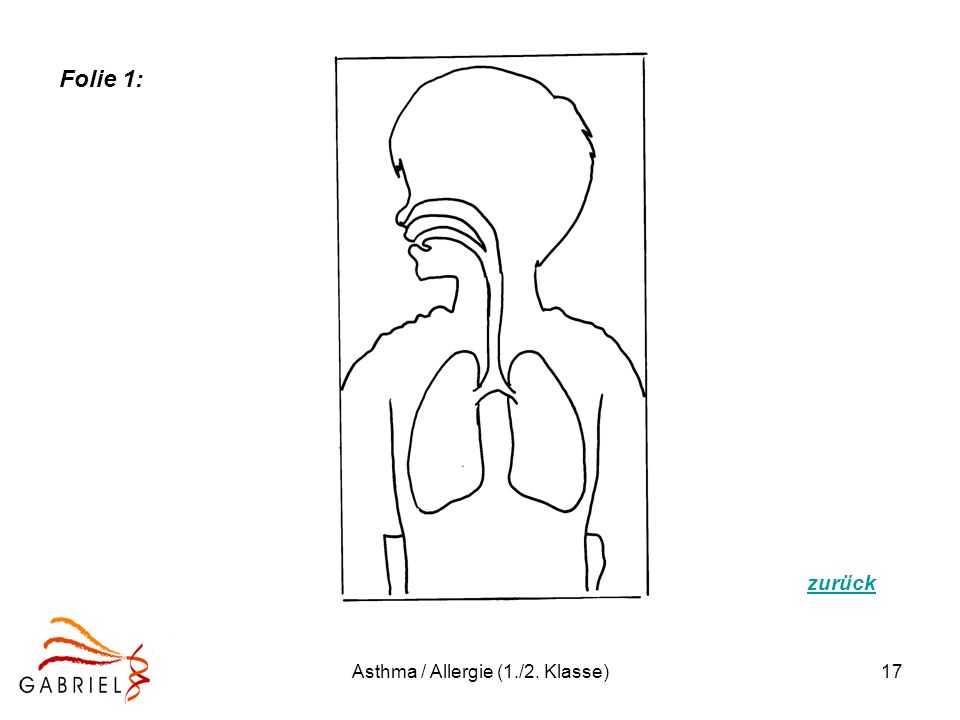 Asthma / Allergie (1./2. Klasse)