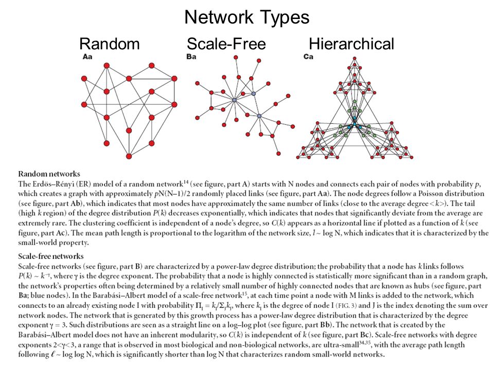 Network Types Random Scale-Free Hierarchical