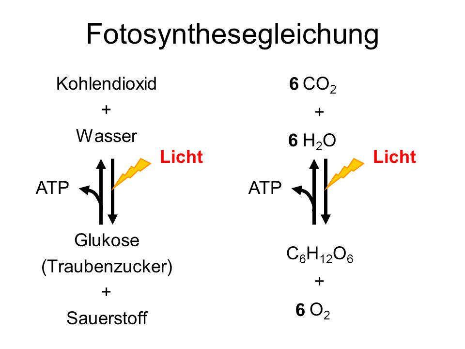 Fotosynthesegleichung