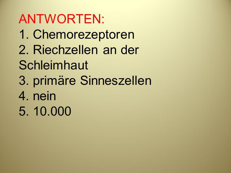 ANTWORTEN: 1. Chemorezeptoren 2. Riechzellen an der Schleimhaut 3
