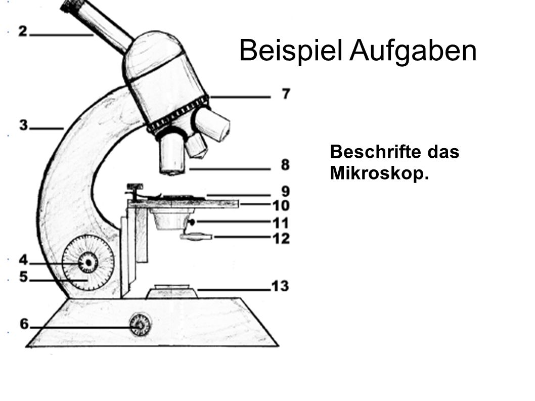 Beispiel Aufgaben Beschrifte das Mikroskop. 5