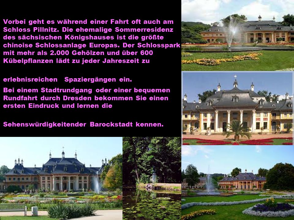 Vorbei geht es während einer Fahrt oft auch am Schloss Pillnitz