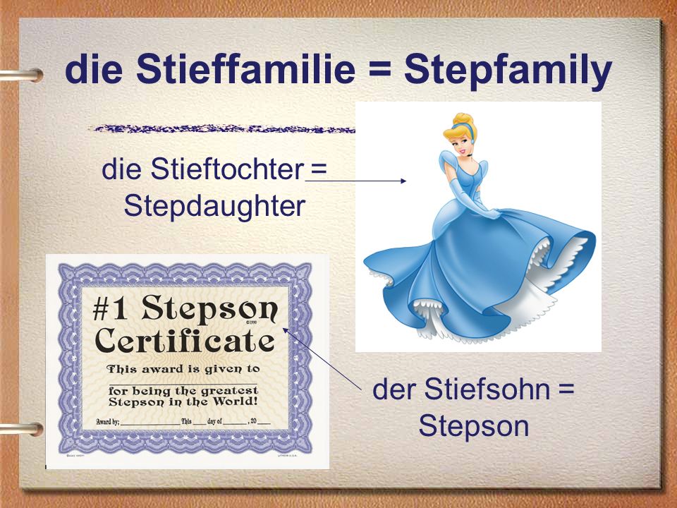 die Stieffamilie = Stepfamily