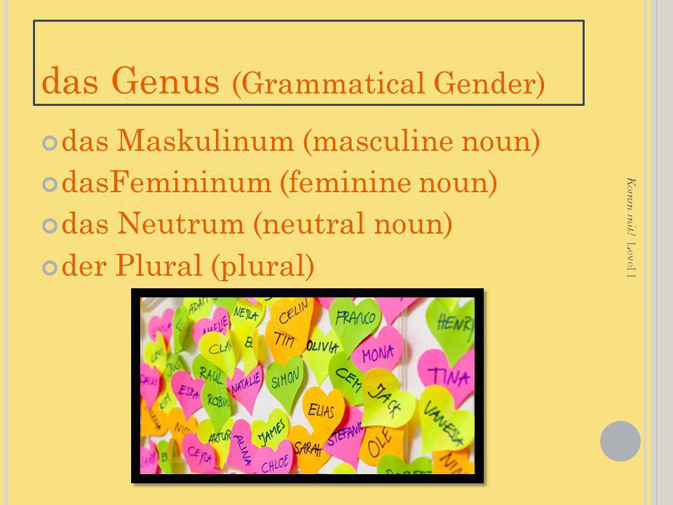 das Genus (Grammatical Gender)