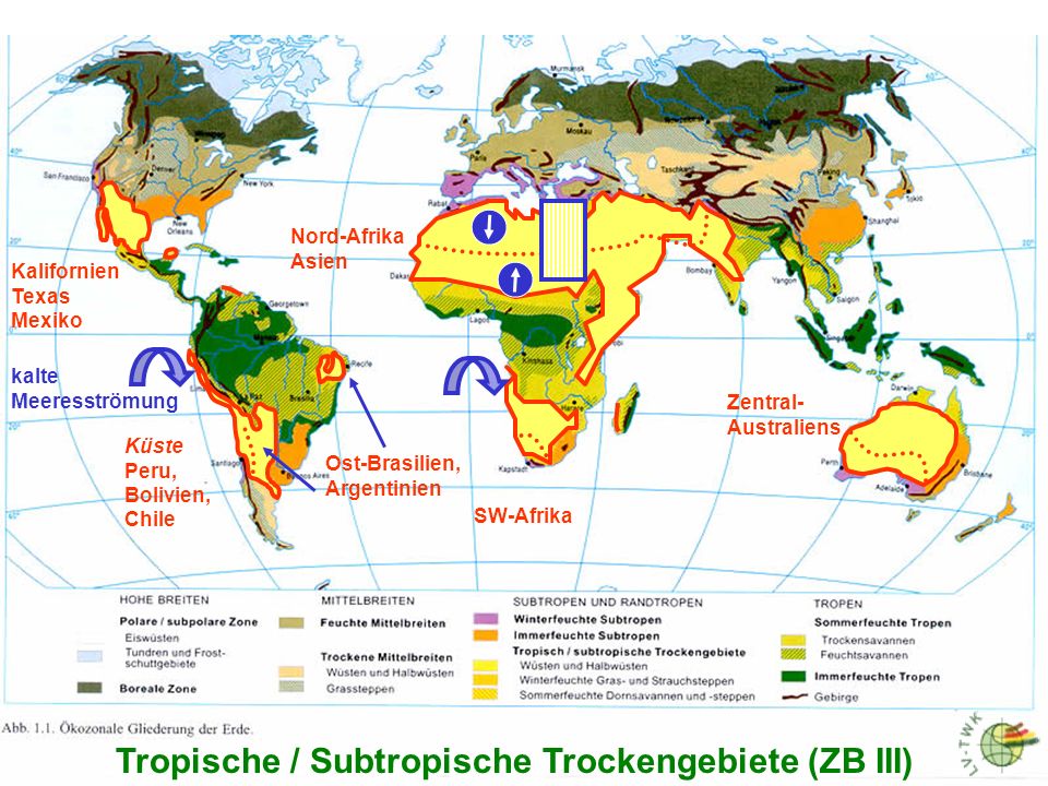 Tropische / Subtropische Trockengebiete (ZB III)