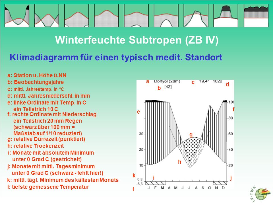 Winterfeuchte Subtropen (ZB IV)