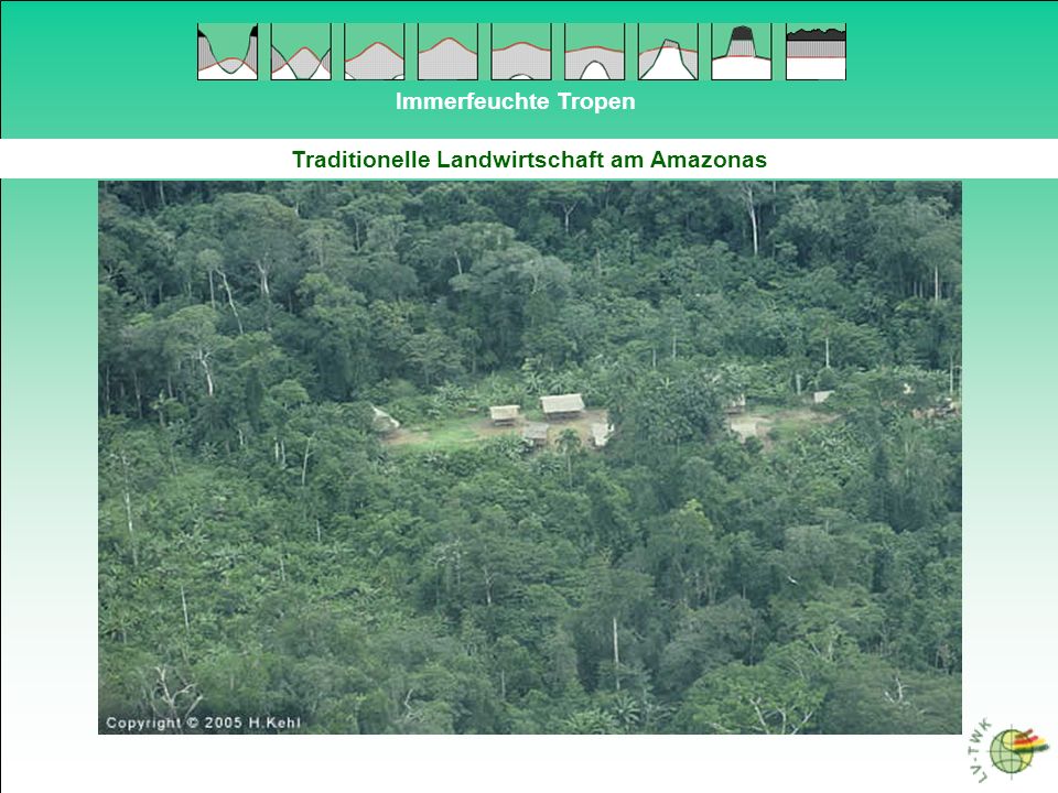 Traditionelle Landwirtschaft am Amazonas