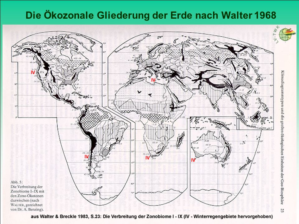 Die Ökozonale Gliederung der Erde nach Walter 1968