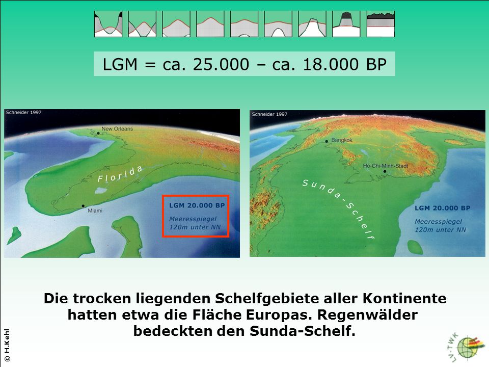 LGM = ca – ca BP Die trocken liegenden Schelfgebiete aller Kontinente. hatten etwa die Fläche Europas. Regenwälder.