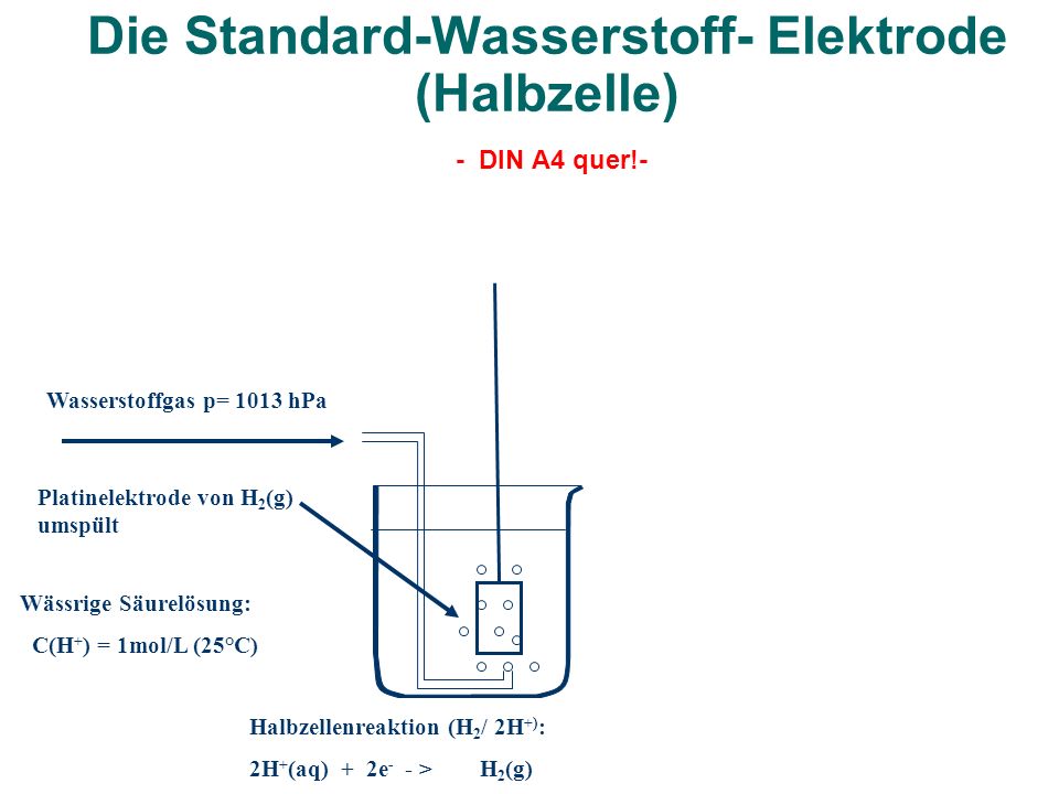 Die Standard-Wasserstoff- Elektrode (Halbzelle) - DIN A4 quer!-