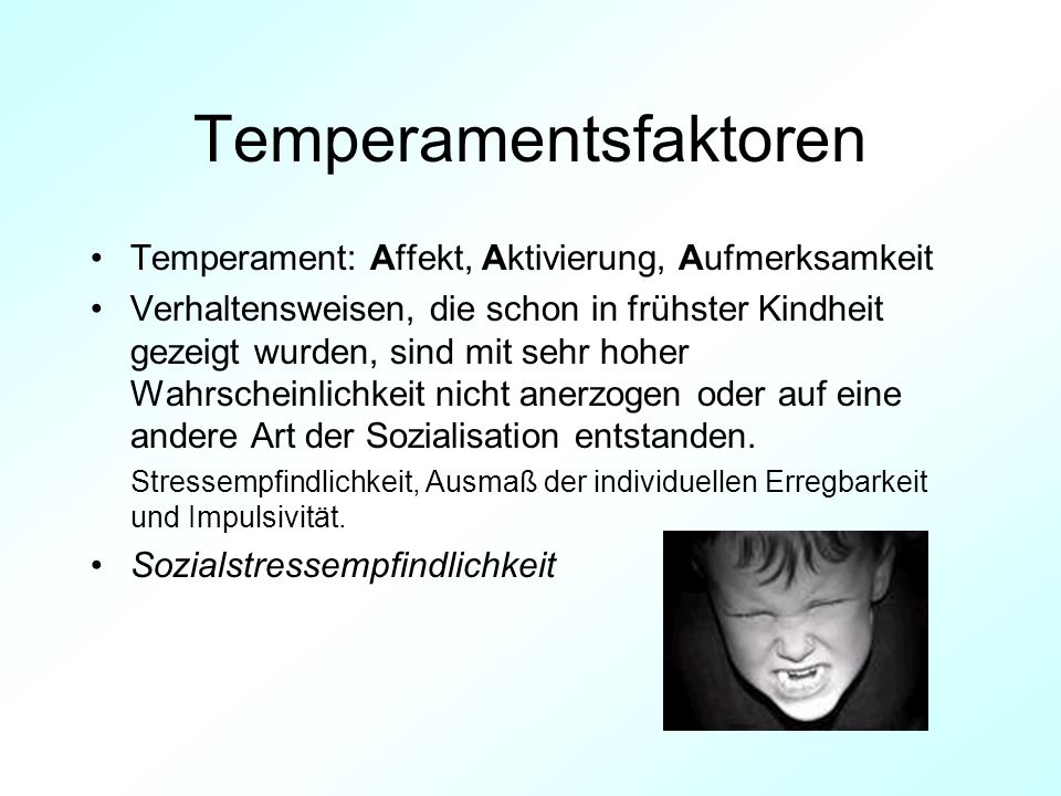 Temperamentsfaktoren