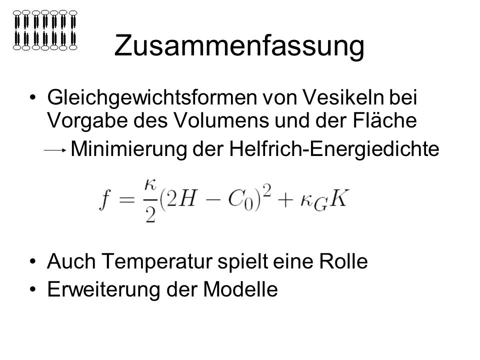 Zusammenfassung Gleichgewichtsformen von Vesikeln bei Vorgabe des Volumens und der Fläche. Minimierung der Helfrich-Energiedichte.