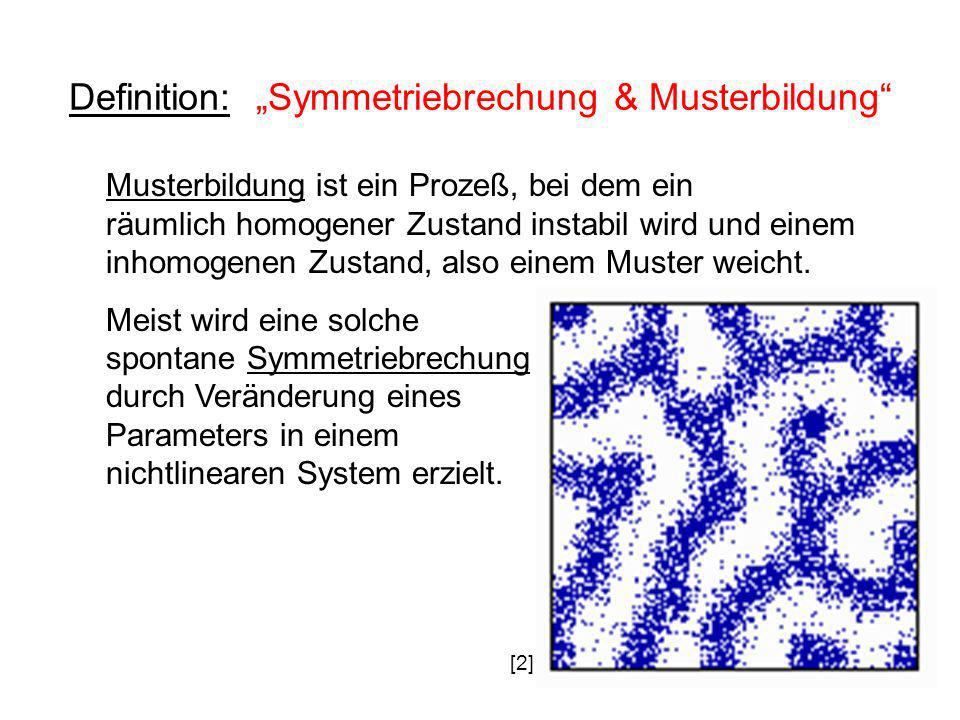 Definition: „Symmetriebrechung & Musterbildung