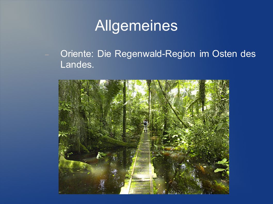 Allgemeines Oriente: Die Regenwald-Region im Osten des Landes.