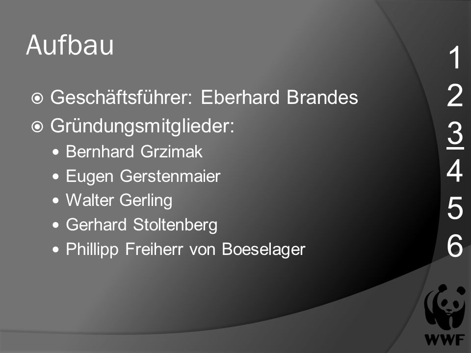 Aufbau Geschäftsführer: Eberhard Brandes