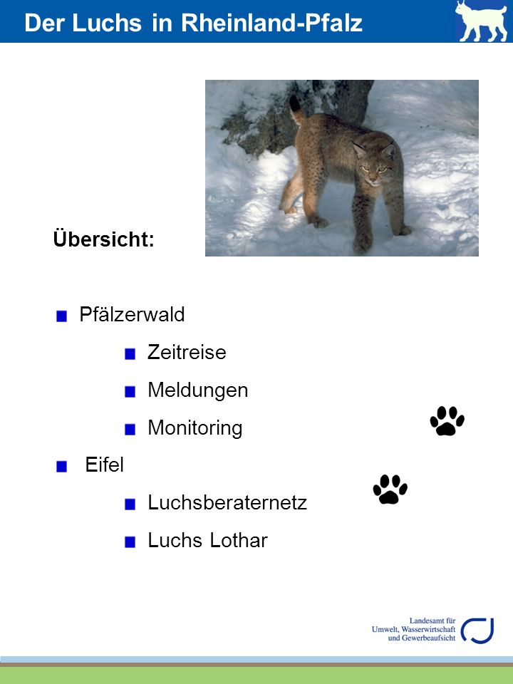 Der Luchs in Rheinland-Pfalz
