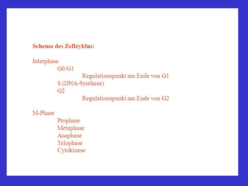 Schema des Zellzyklus: