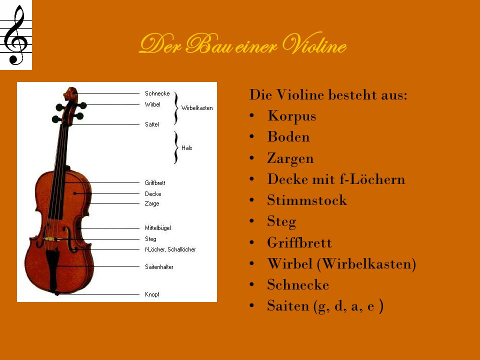 Die Entstehung der Violine - ppt video online herunterladen