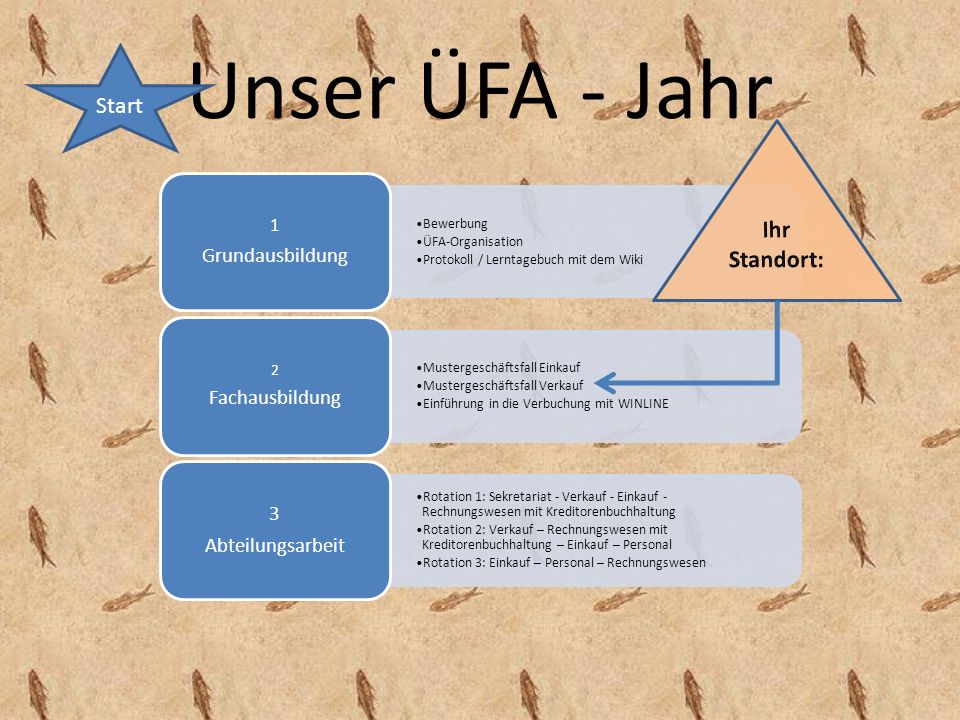 Unser ÜFA - Jahr Start Ihr Standort: 3 Grundausbildung